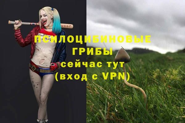 молекула духа Костерёво