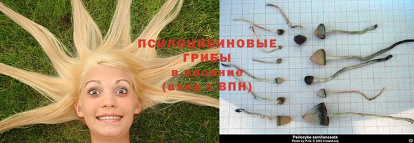 кокаин Коряжма
