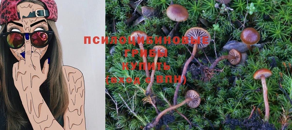 a pvp Корсаков