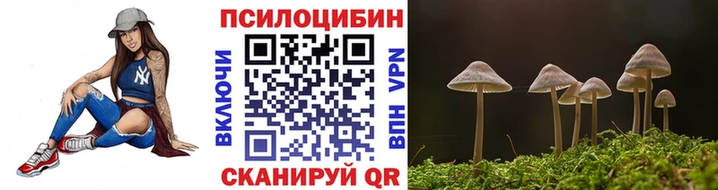 Псилоцибиновые грибы Psilocybine cubensis Кемь